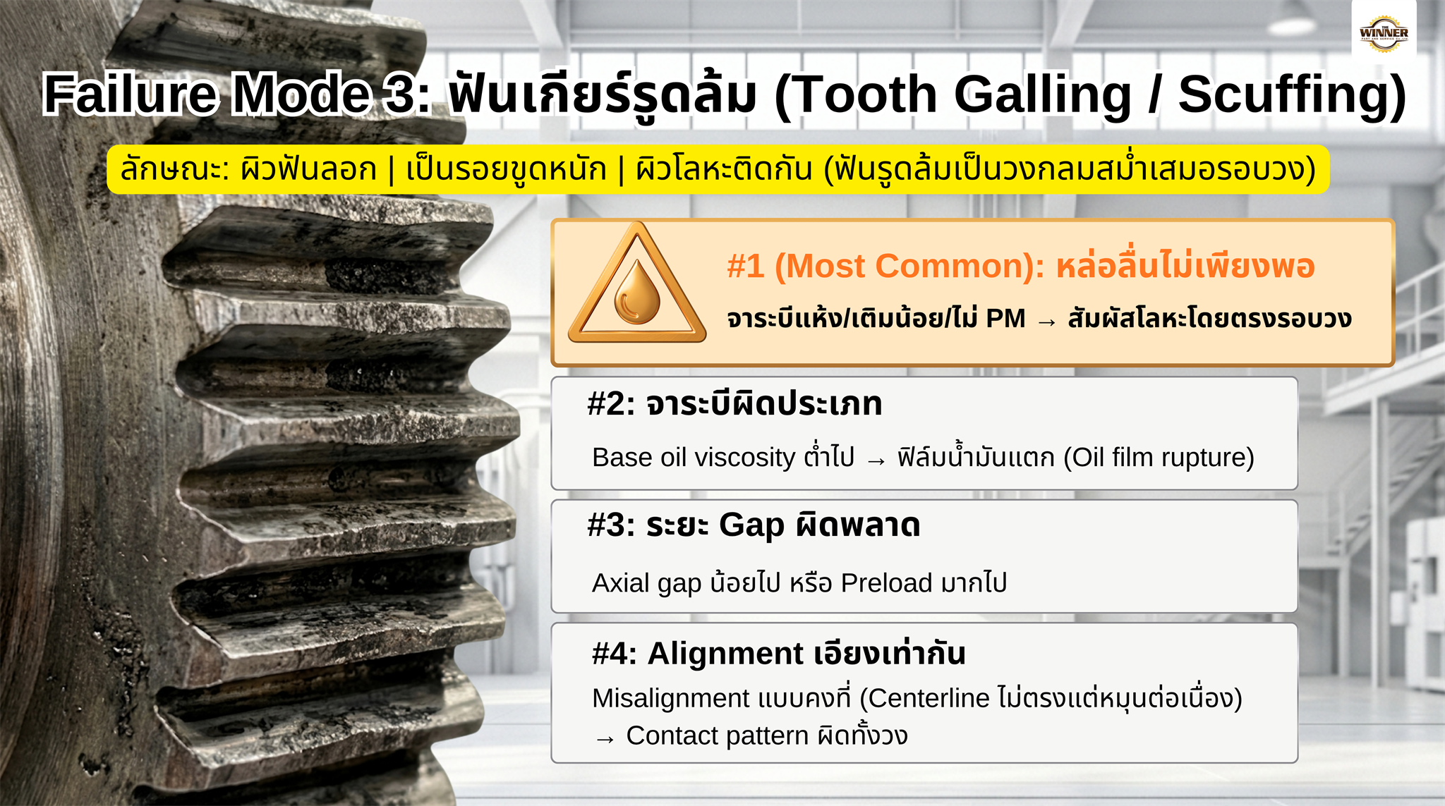 Failure Mode 3 ฟันเกียร์รูดล้ม Tooth Galling Scuffing