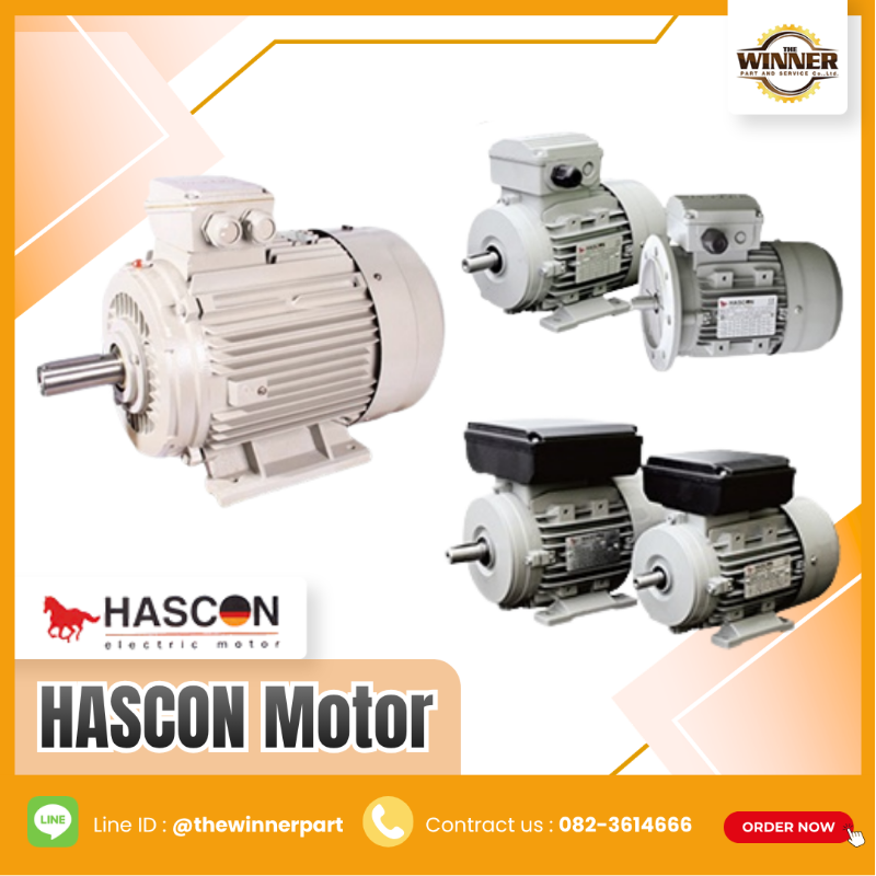 INNOMOTICS Motor