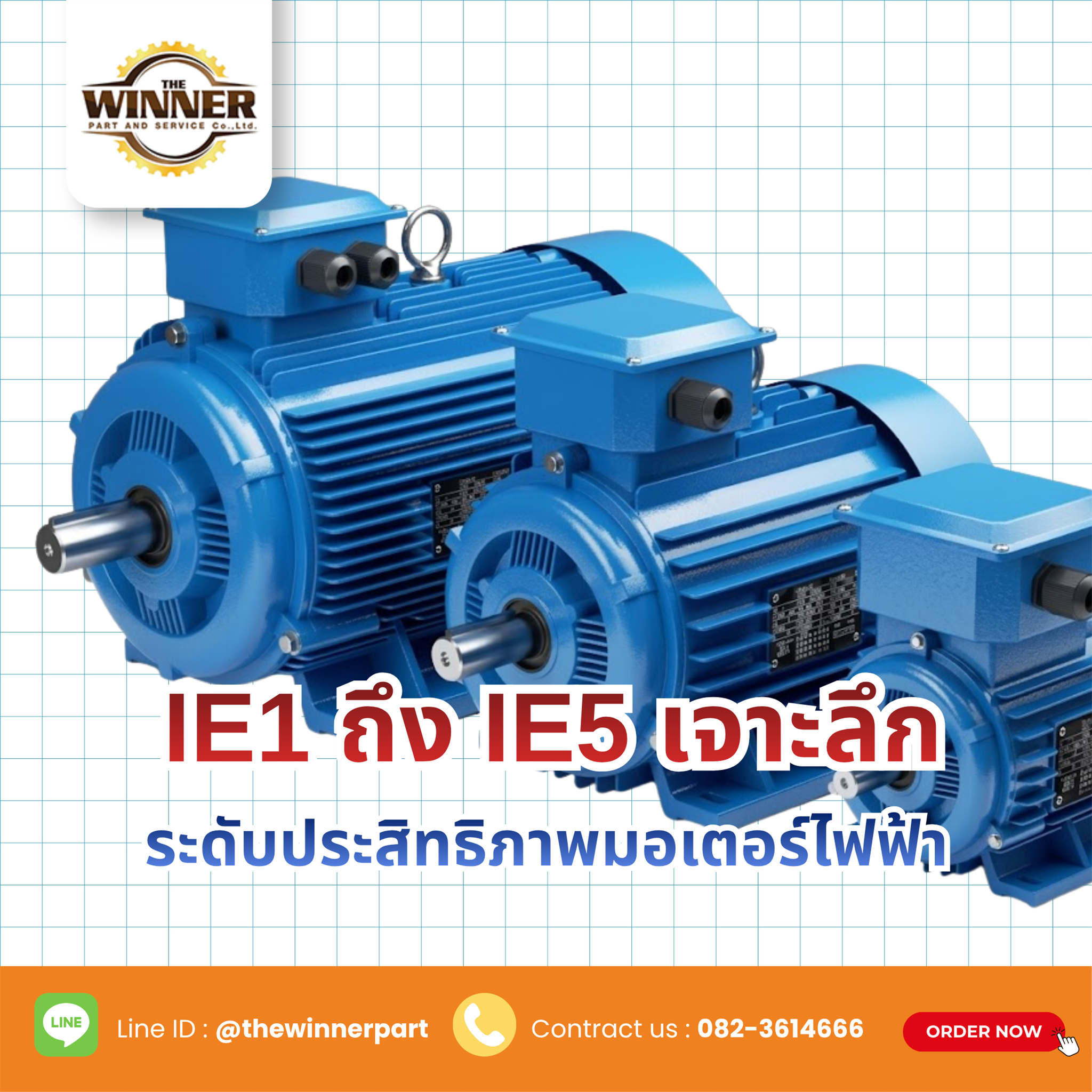 มอเตอร์ไฟฟ้า IE1 IE5