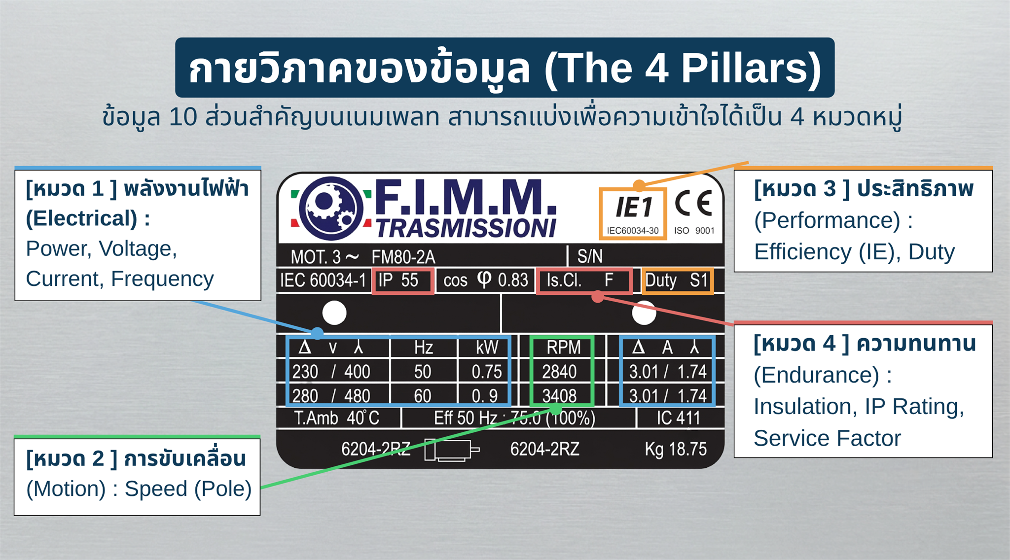 กายวิภาคของข้อมูลบนเนมเพลทมอเตอร์